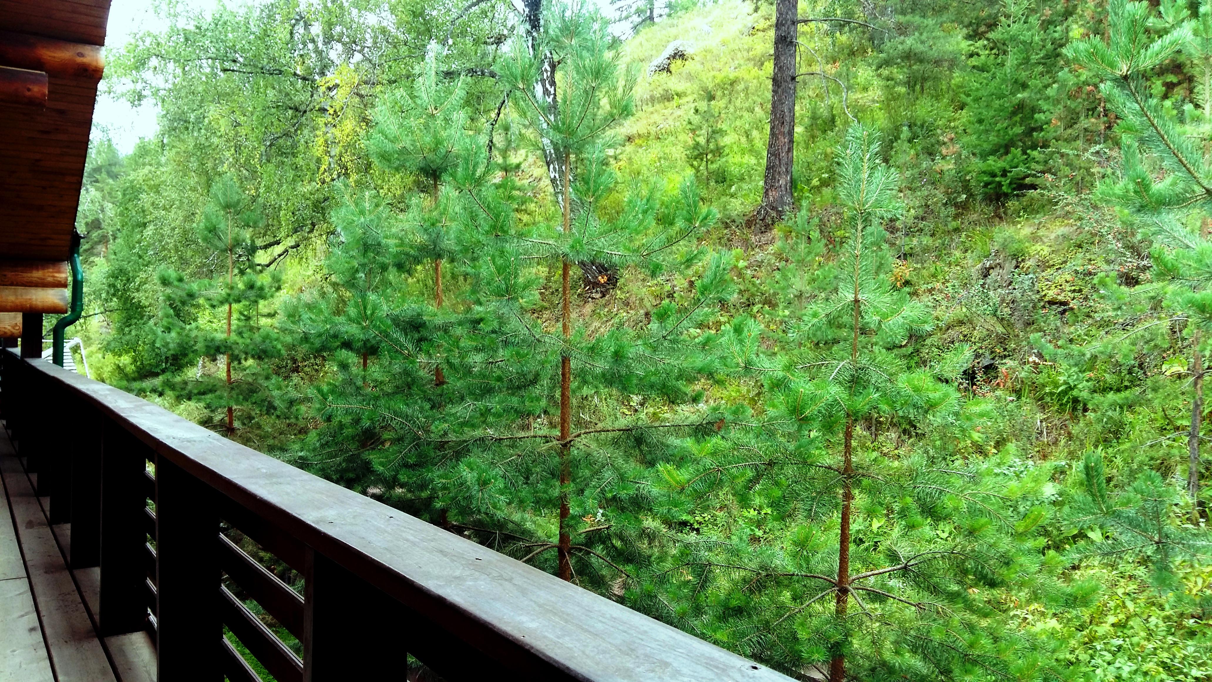 Фото Бунгало Клаб