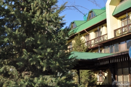 Фото Эльдорадо