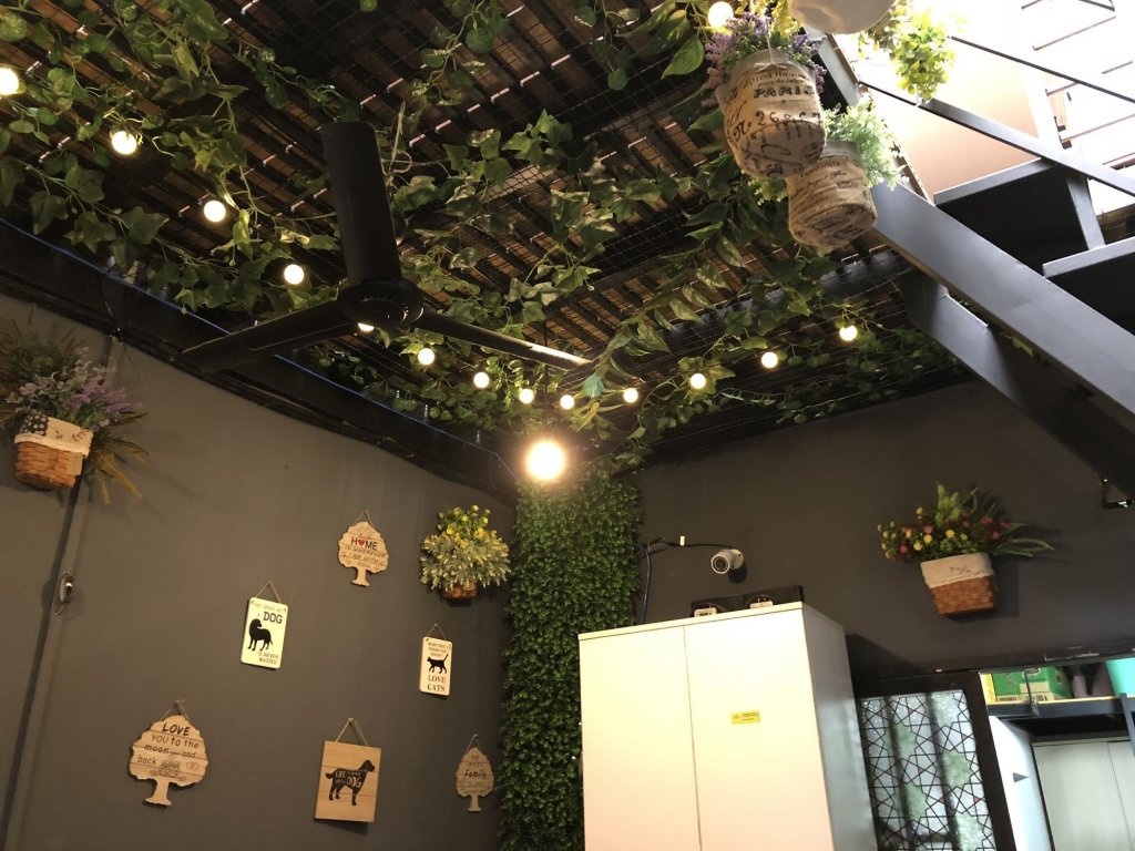 Фото Phoenix Hostel Saigon