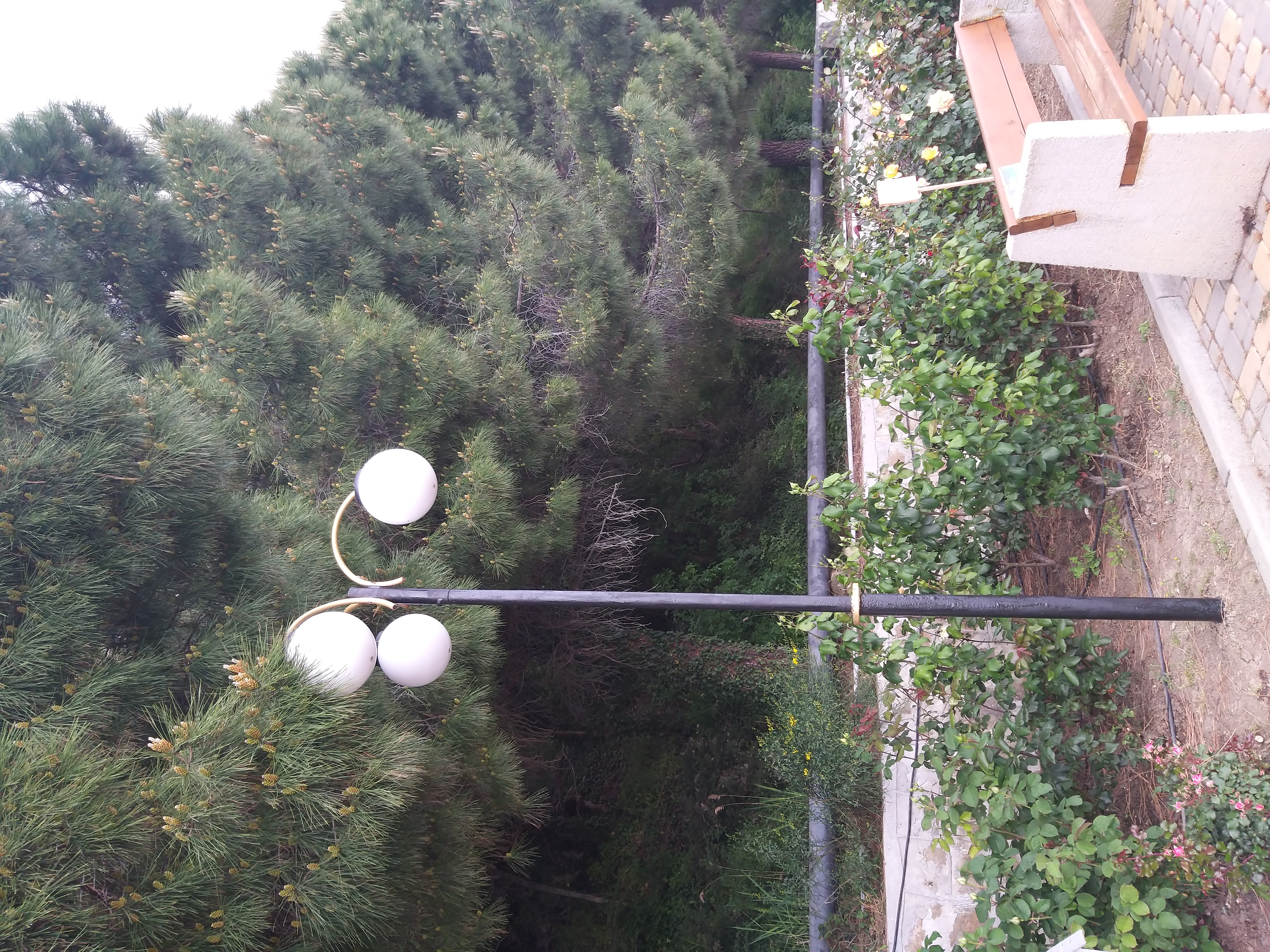 Фото Ай-Лия