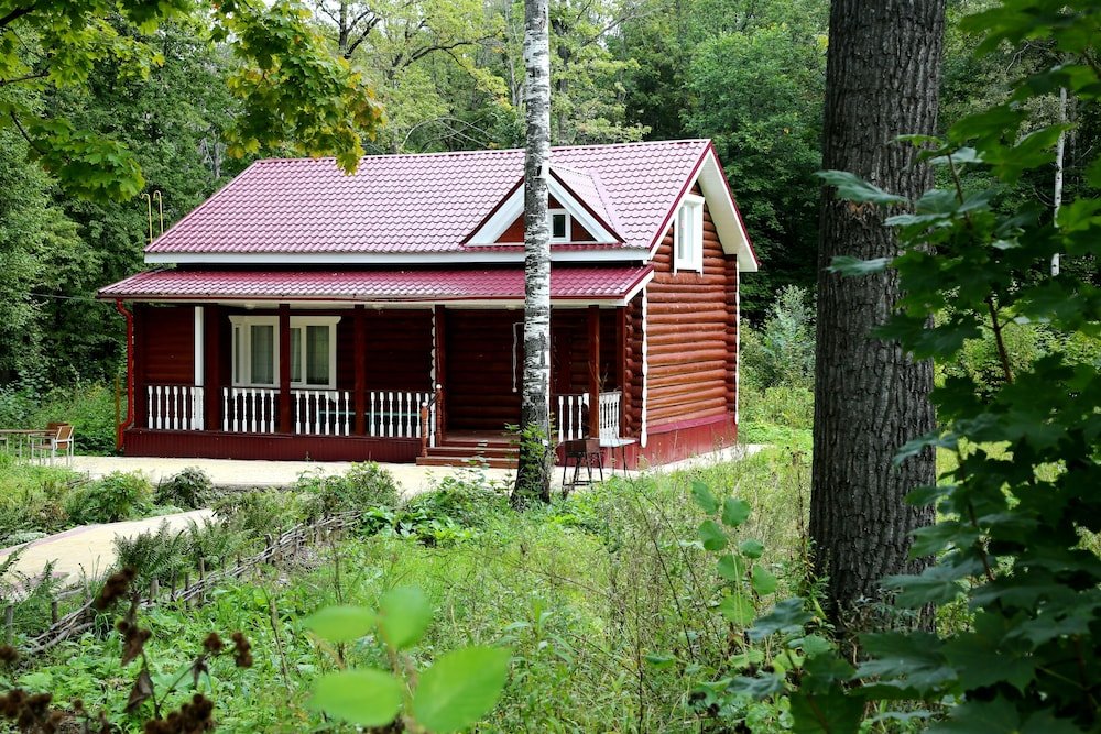 Фото Берёзки