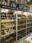 Центр сантехники (ulitsa Shchorsa, 64Г), tienda de artículos de saneamiento