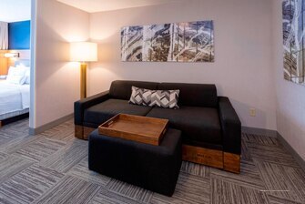 Фото SpringHill Suites by Marriott Rochester-Mayo Clinic/St Marys