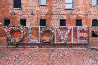 Фото Delta Hotels by Marriott Toronto