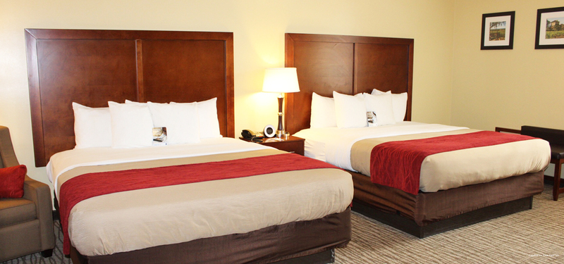 Фото Comfort Inn Pomona near Fairplex