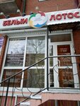 Bely Lotos (ulitsa Aleksandra Nevskogo, 99/4), wellness center