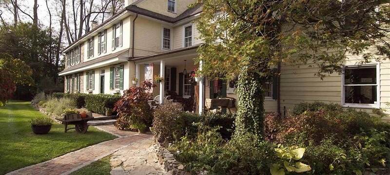 Фото Wild Wisteria