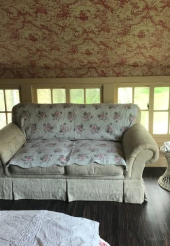 Фото Wild Wisteria