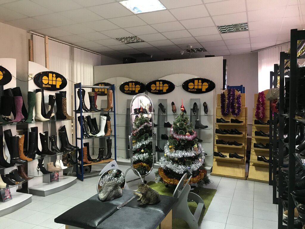 Продажа Магазинов В Волгодонске