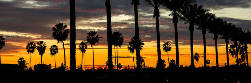 Фото Coronado Island Marriott Resort & SPA