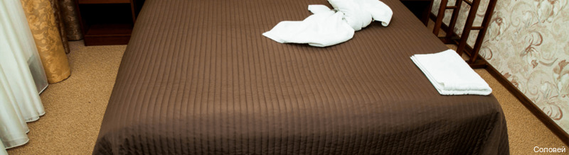 Фото Соловей