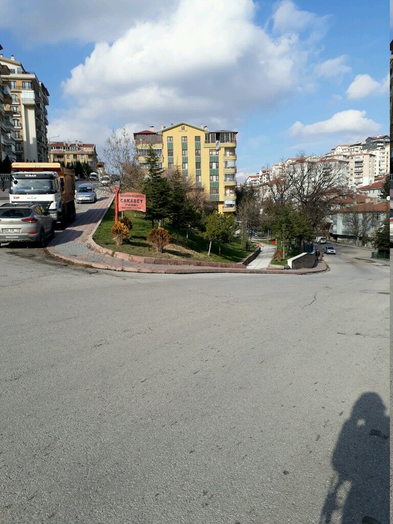 Urban forest Cakabey Afforestation Area, Ankara, photo