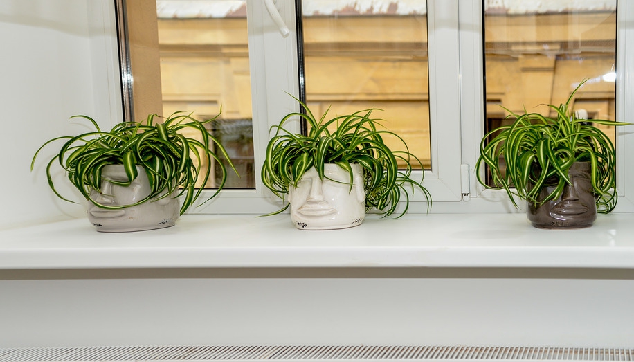 Фото Саквояж