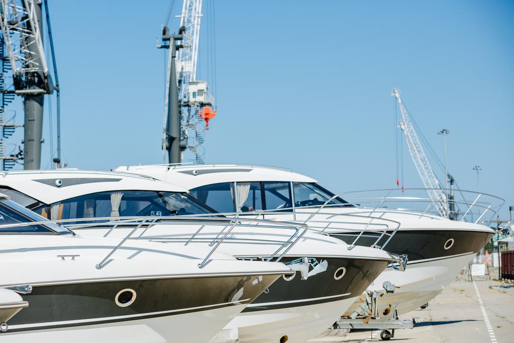 Фото Альфа Сириус