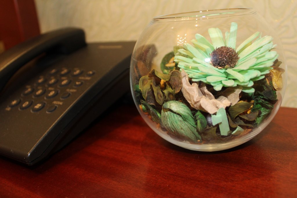 Фото Славия