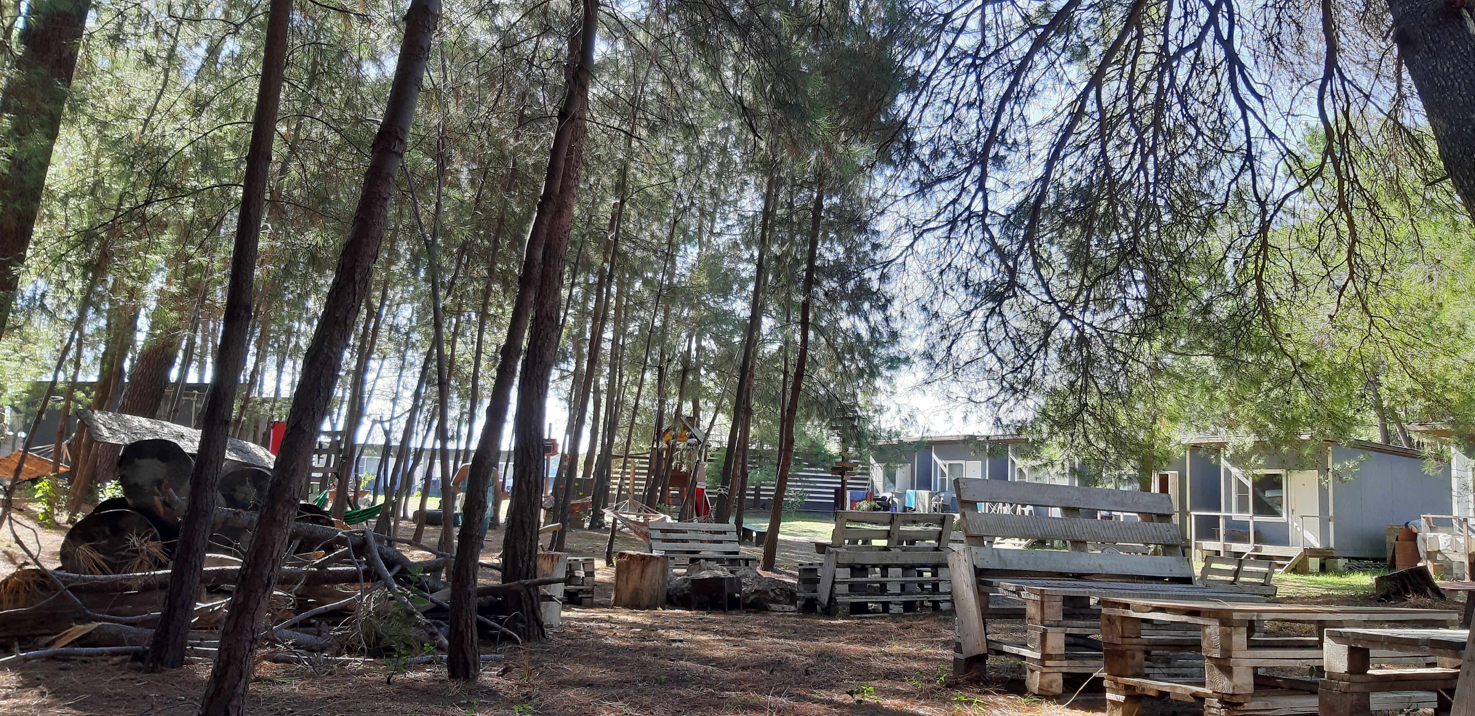 Фото Forest Club