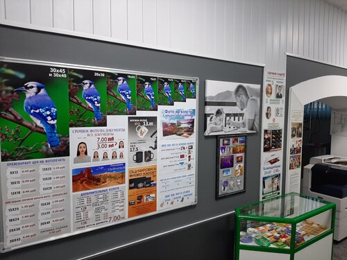 Fujifilm, фотоуслуги, Минск, Логойский тракт, 29 — Яндекс Карты