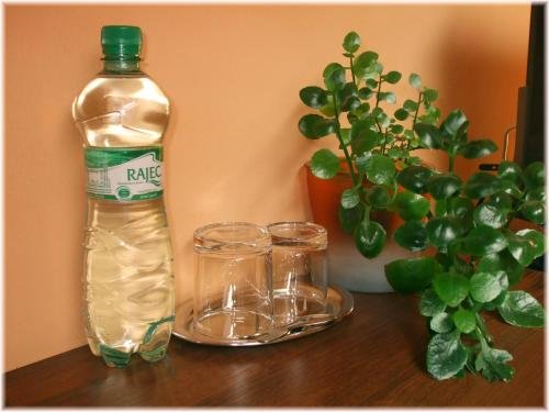 Фото Hotel Selský Dvur