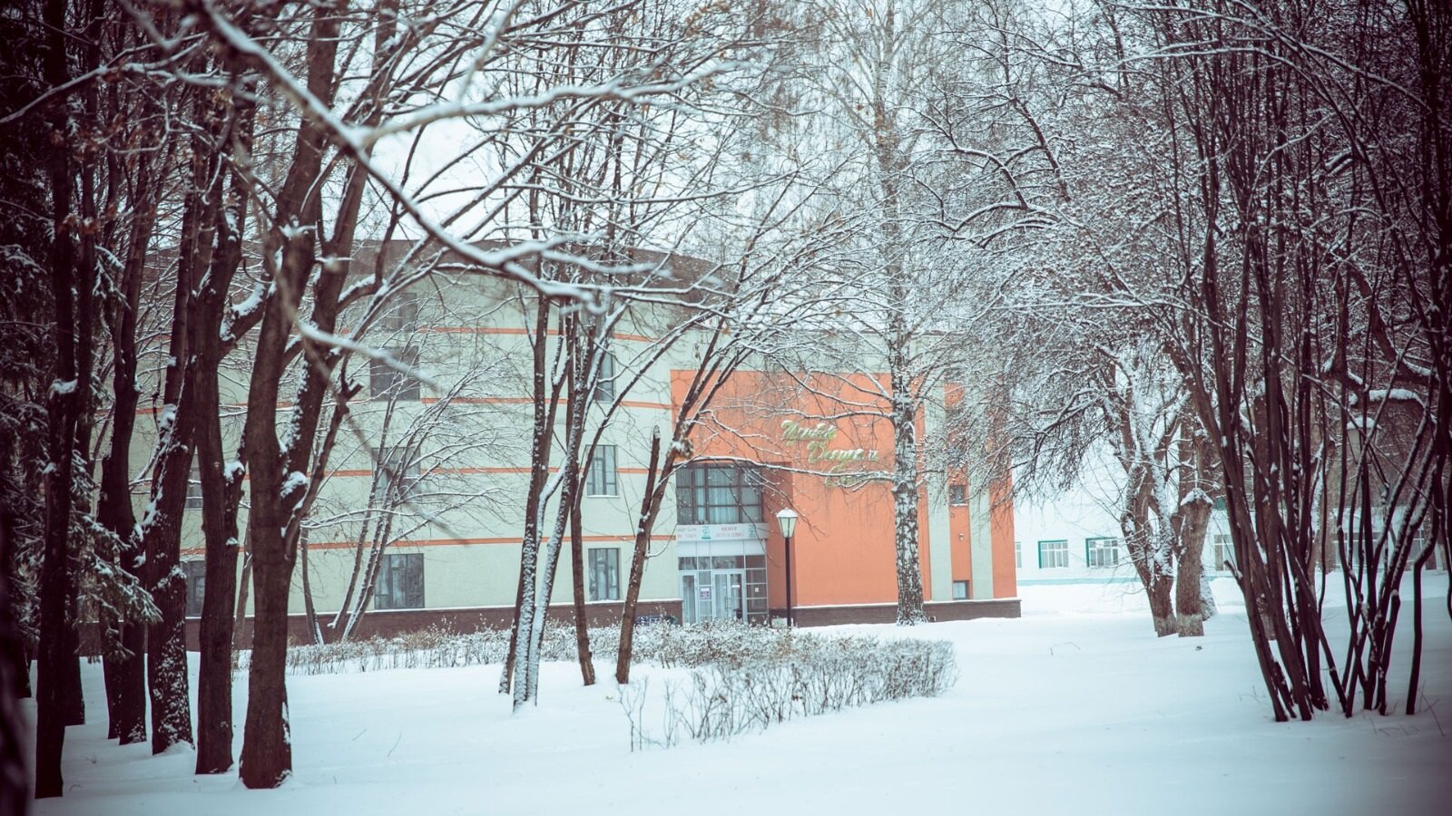 Фото Зеленая Роща