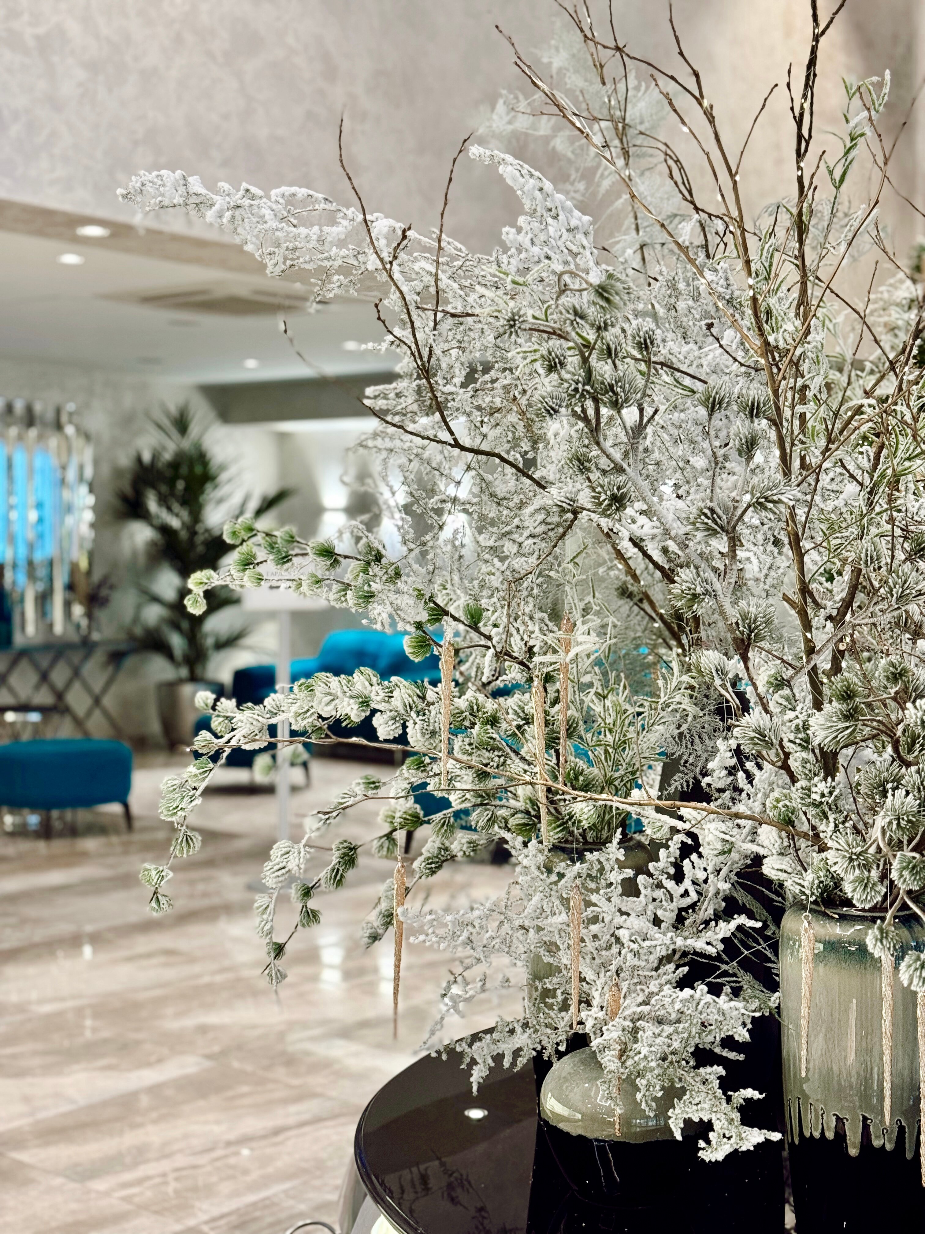 Фото Костас