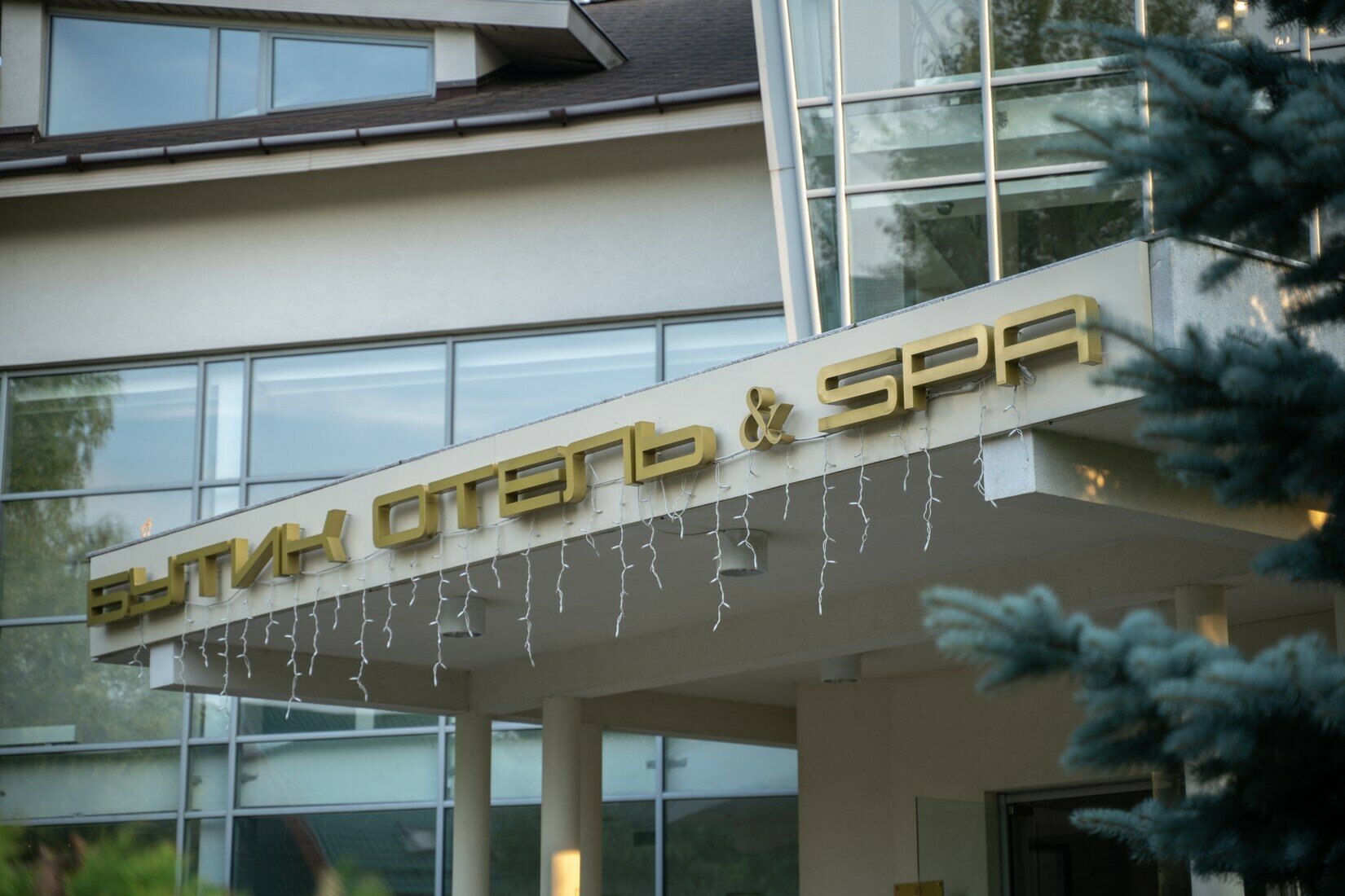 Фото Аристократ