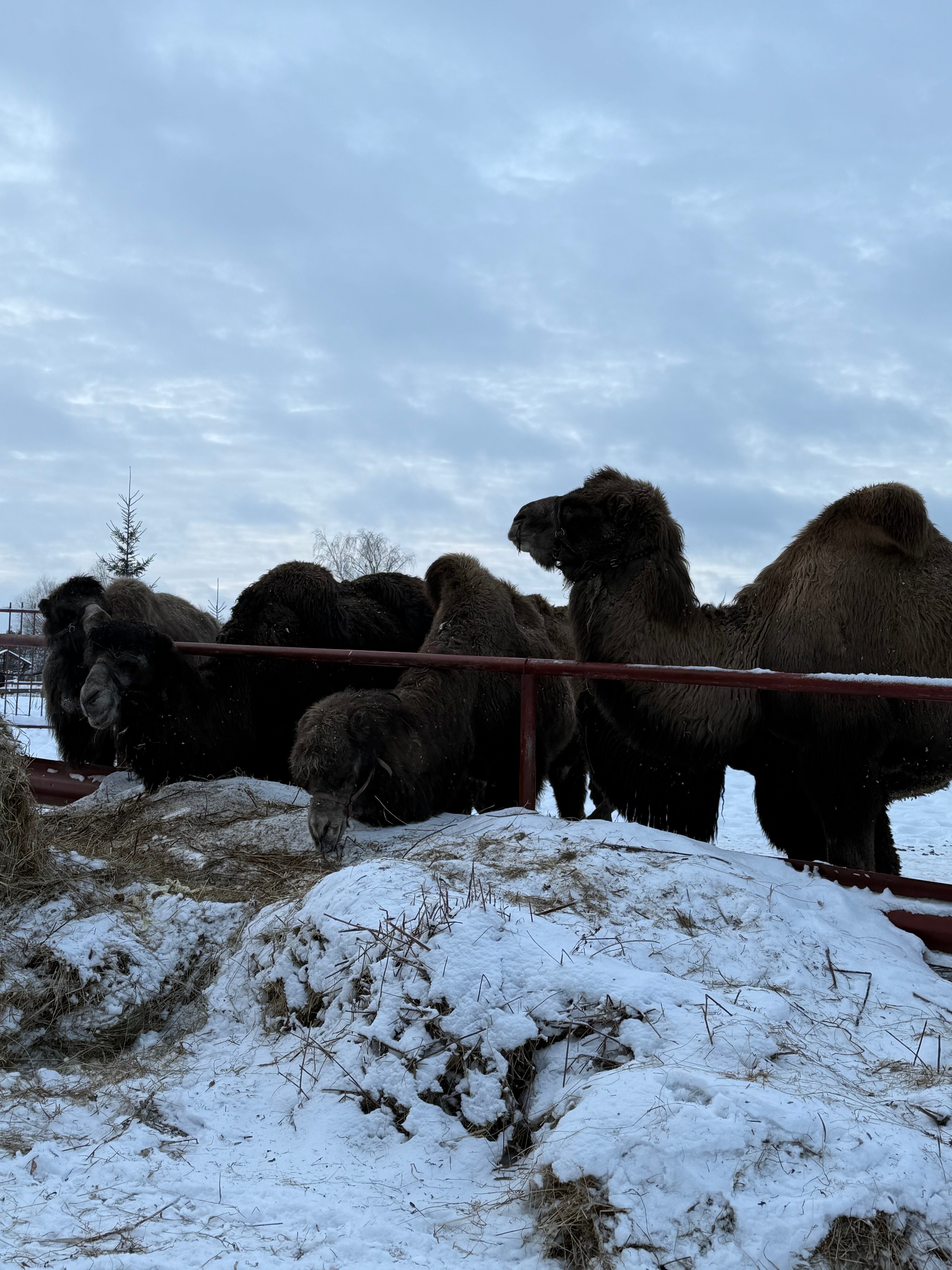 Фото Дом с характером