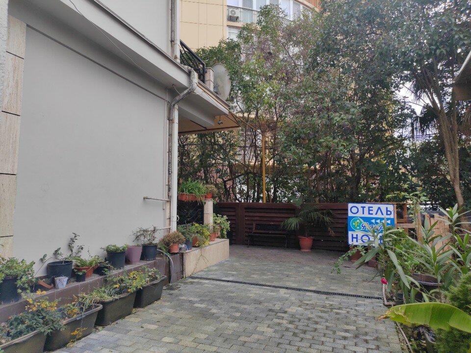 Фото Флора