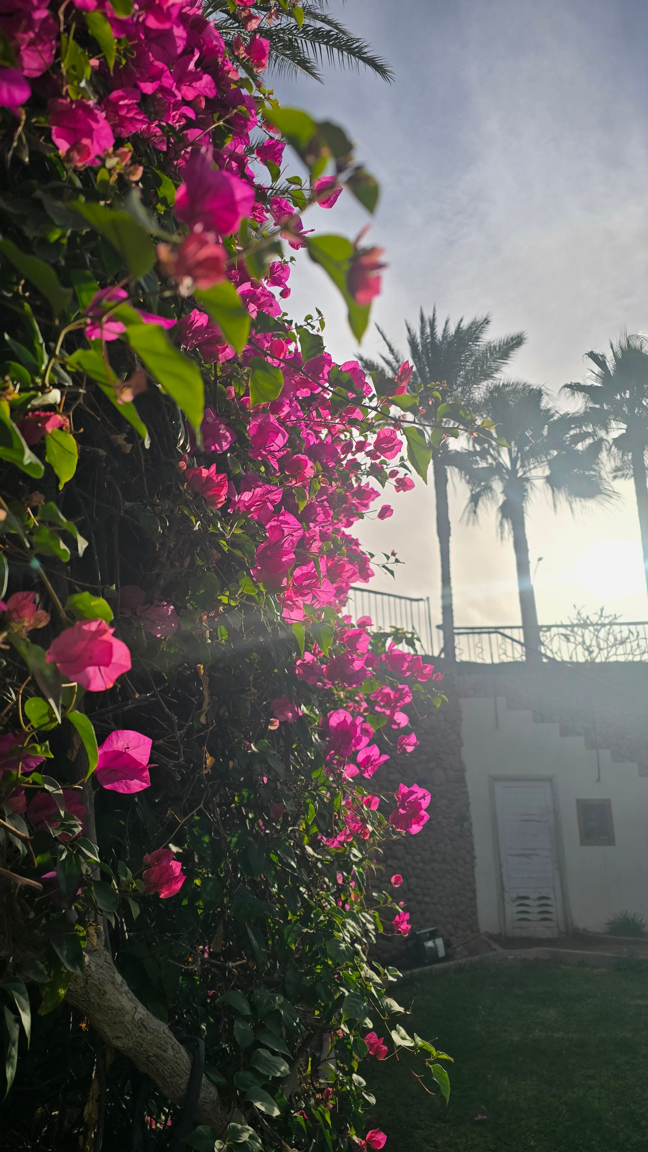 Фото Xperience St. George Homestay