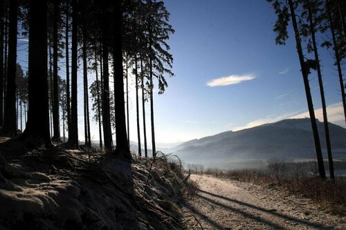 Гостиница WaldSchinkenwirt в Брилоне