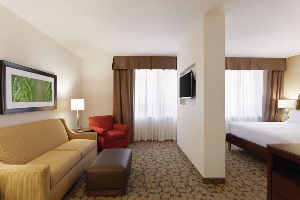Фото Hilton Garden Inn Rochester Downtown