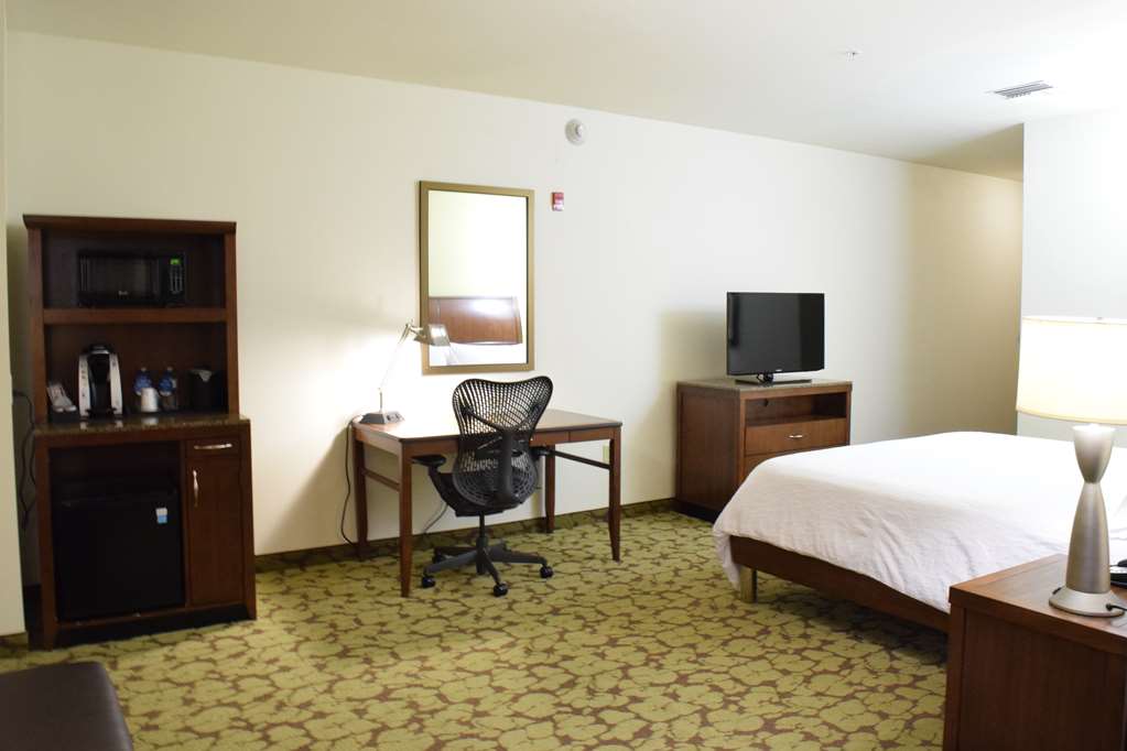 Фото Hilton Garden Inn Rochester Downtown