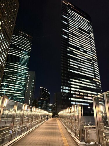 Гостиница Hotel Villa Fontaine Grand Tokyo - Shiodome в Японии