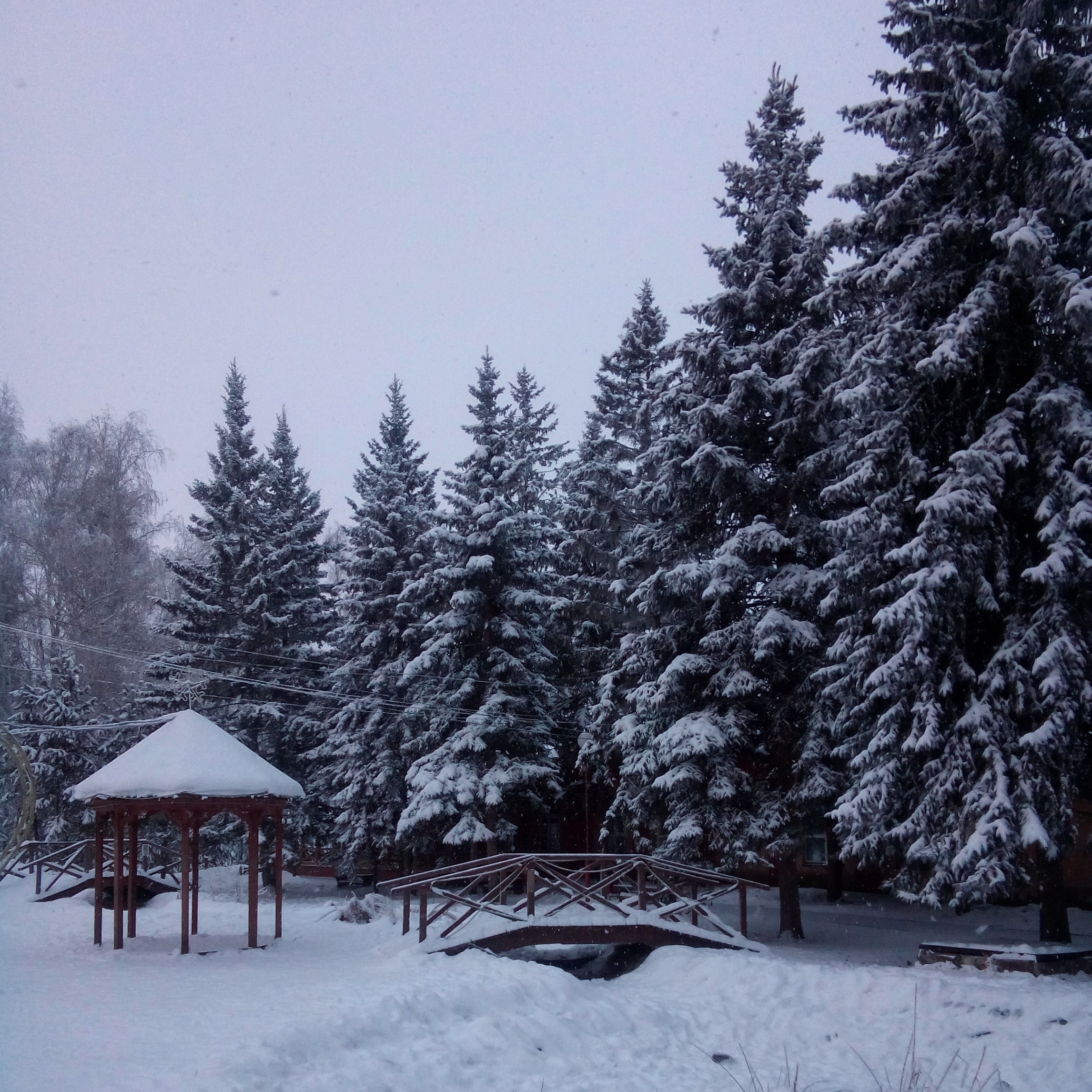 Фото Сказка