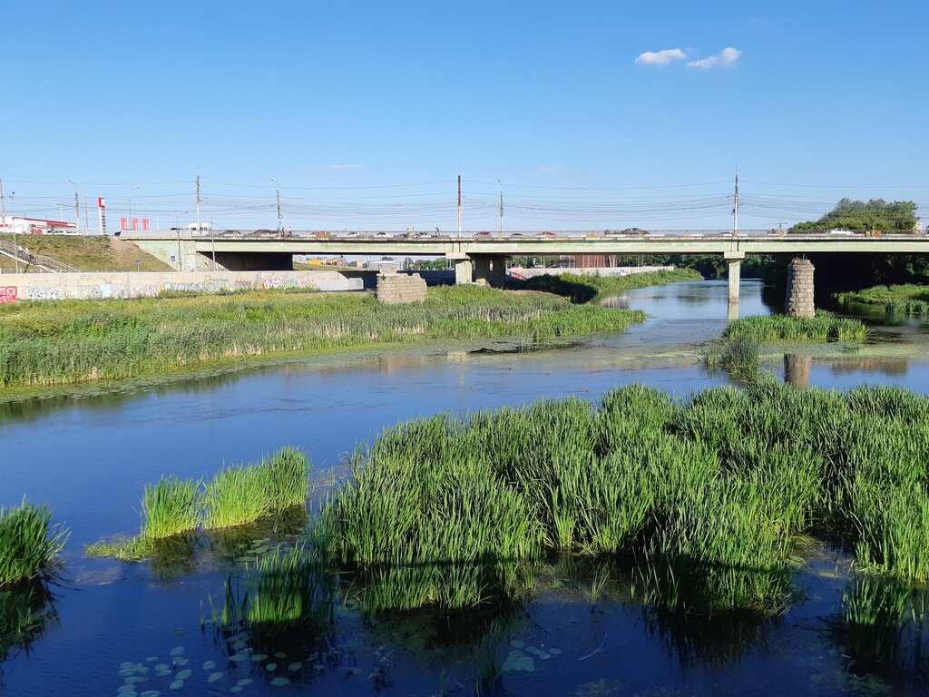 معلم جذب سياحي Ruins of the old Chulkovsky Bridge ، ، صورة