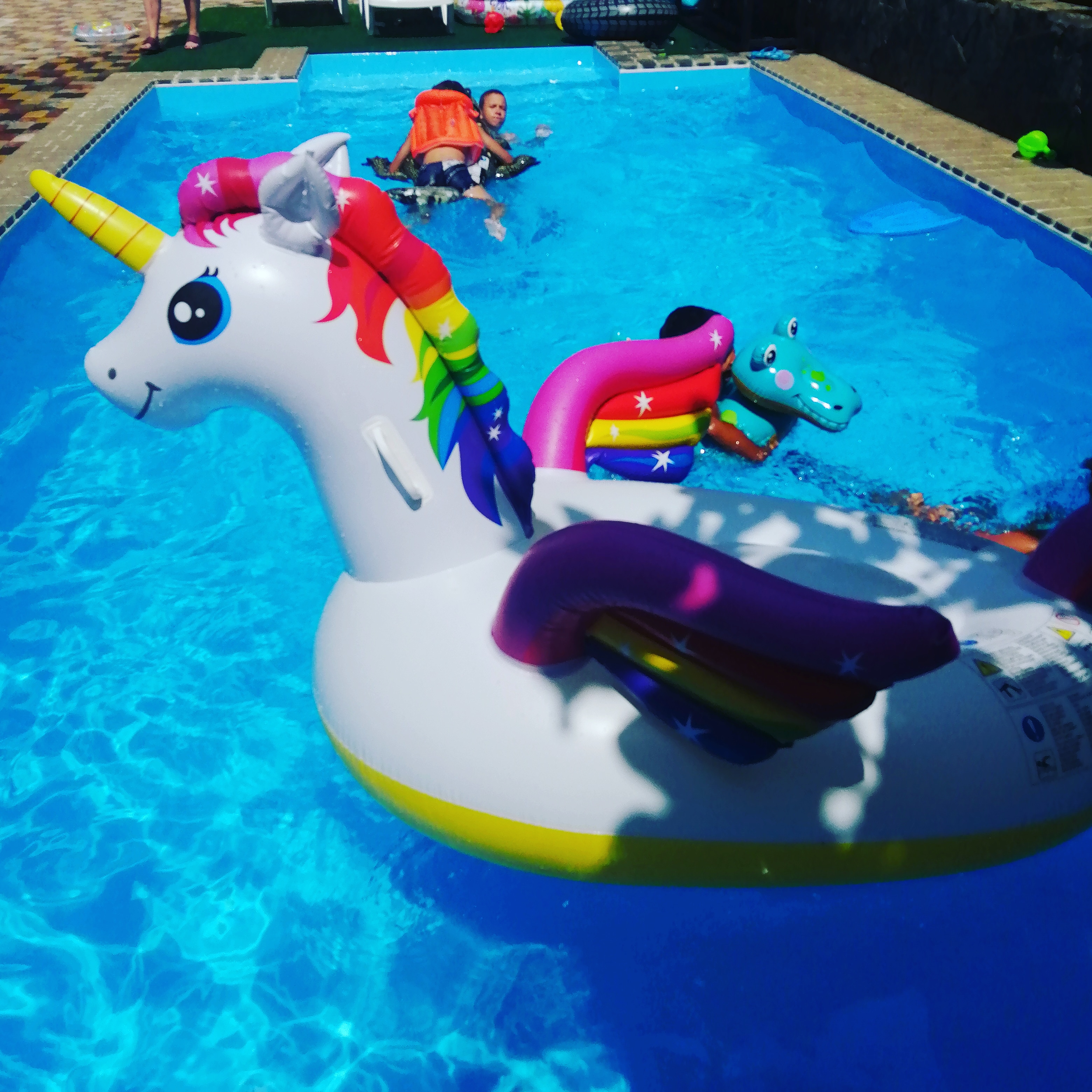 Фото Кассис