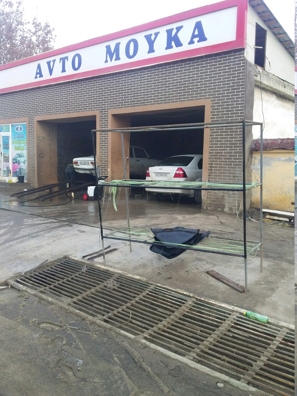 Kokraklar mushuklar dumbalari