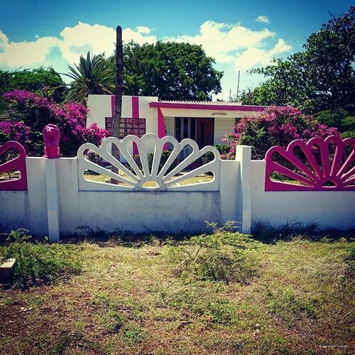 Гостиница Poppy Hostel Curacao в Виллемстаде