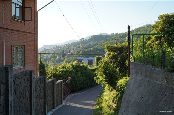 Фото Лукоморье