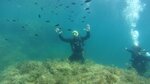 Дайвинг (улица Фрунзе, 23), diving
