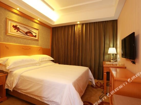 Фото Vienna Hotel