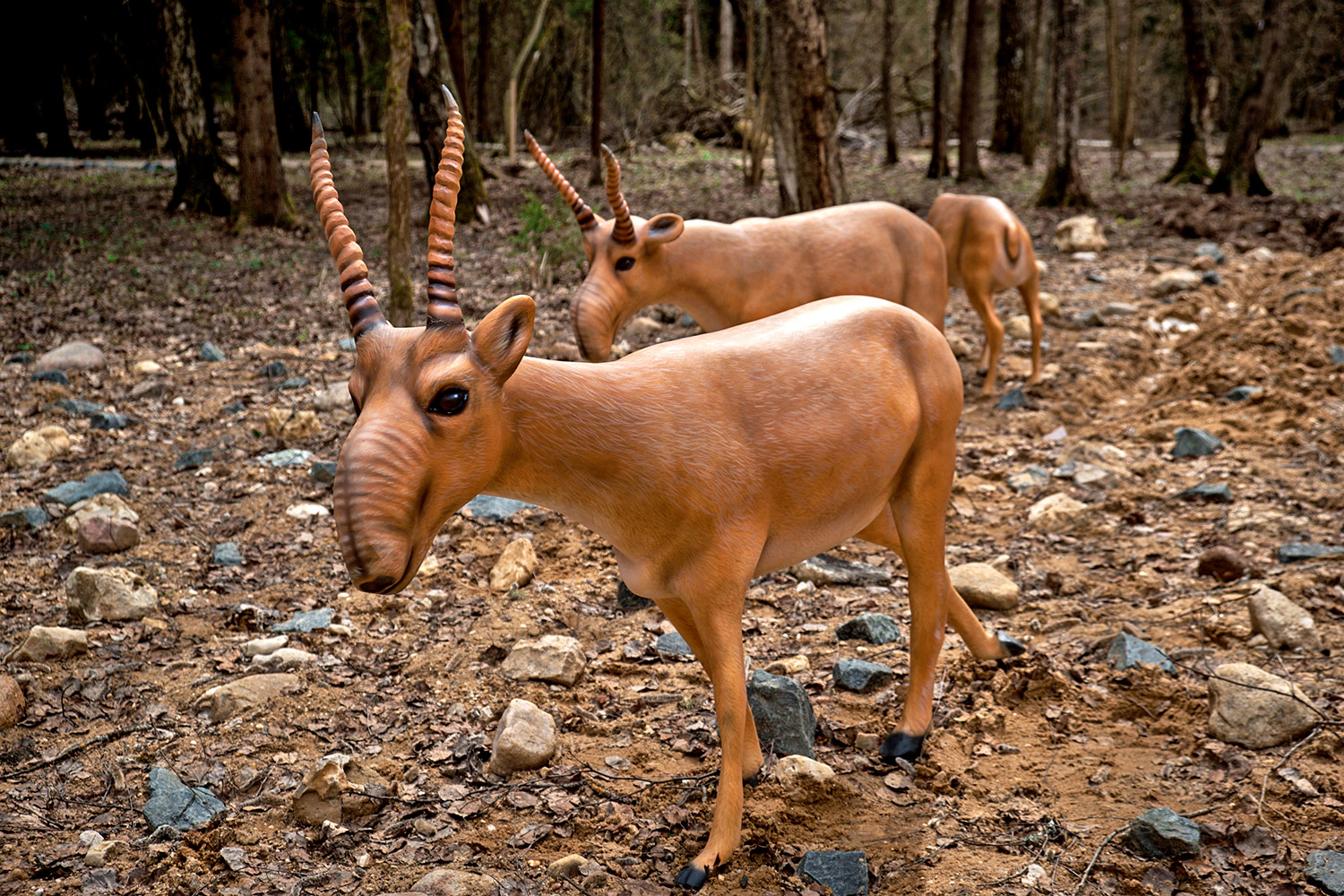 Фото Этноотель Индия