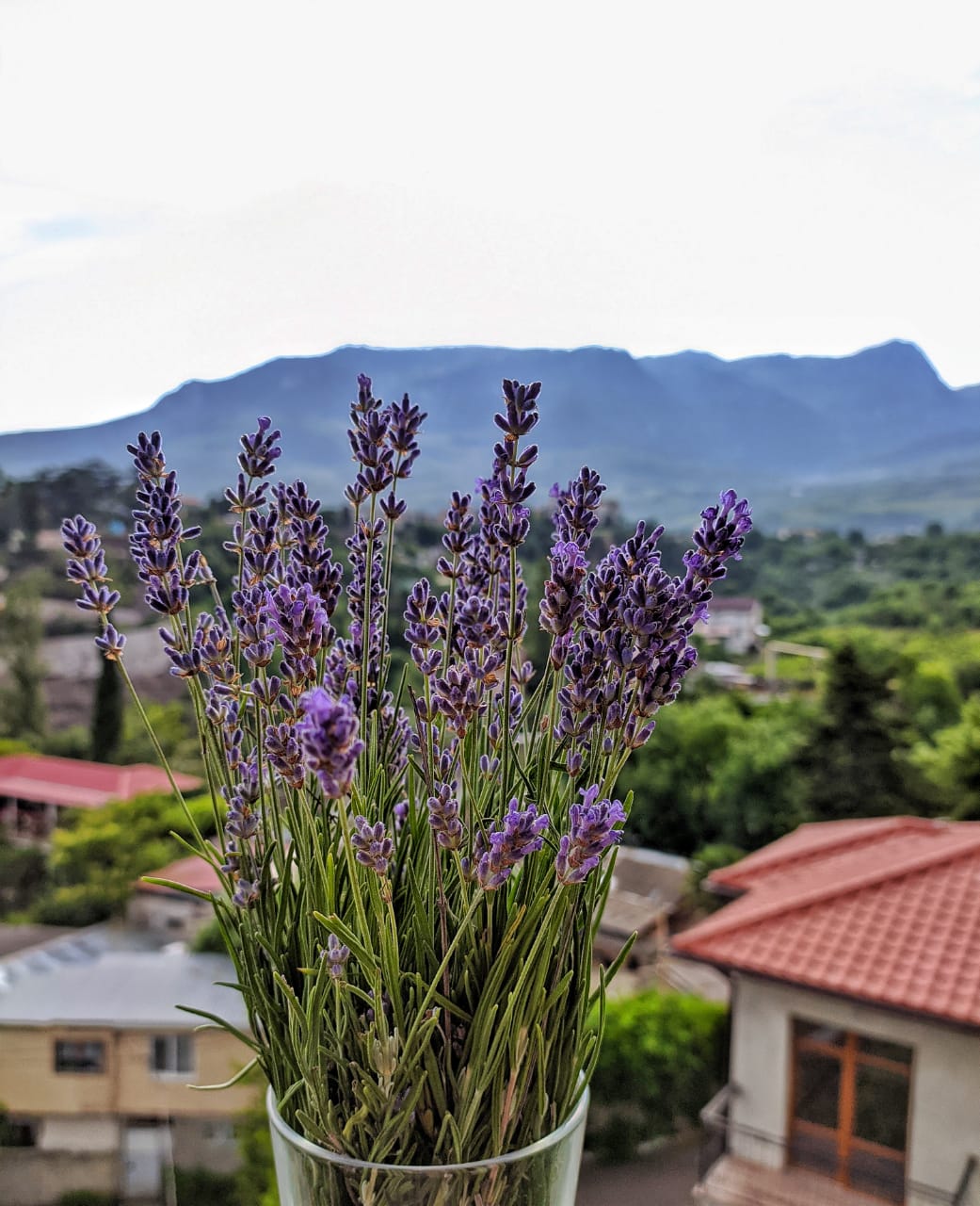 Фото Вилла Босанова