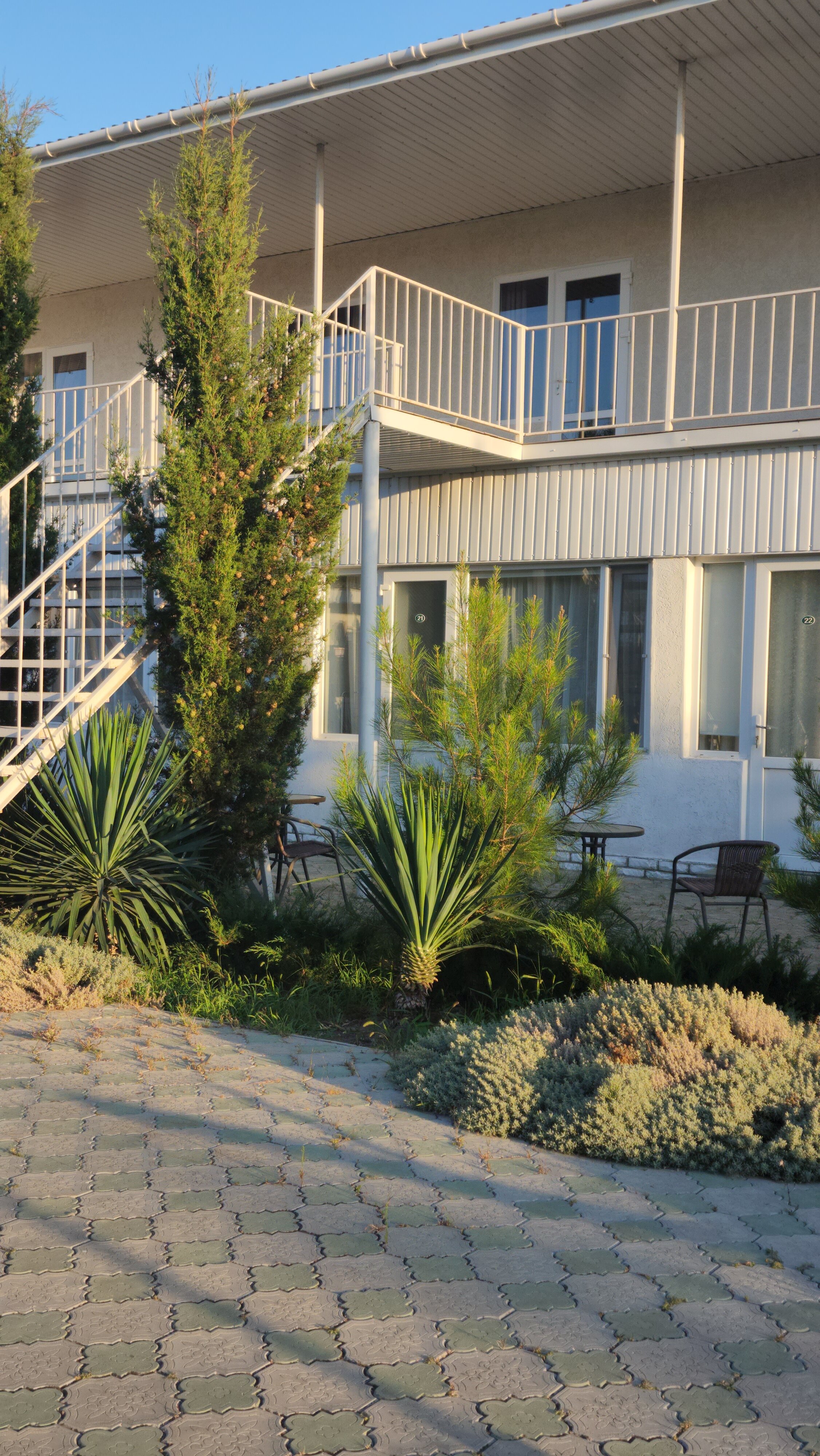 Фото Дружба