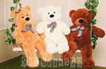 Sibbears54 (ulitsa Mikhaila Kulagina, 31), gift and souvenir shop