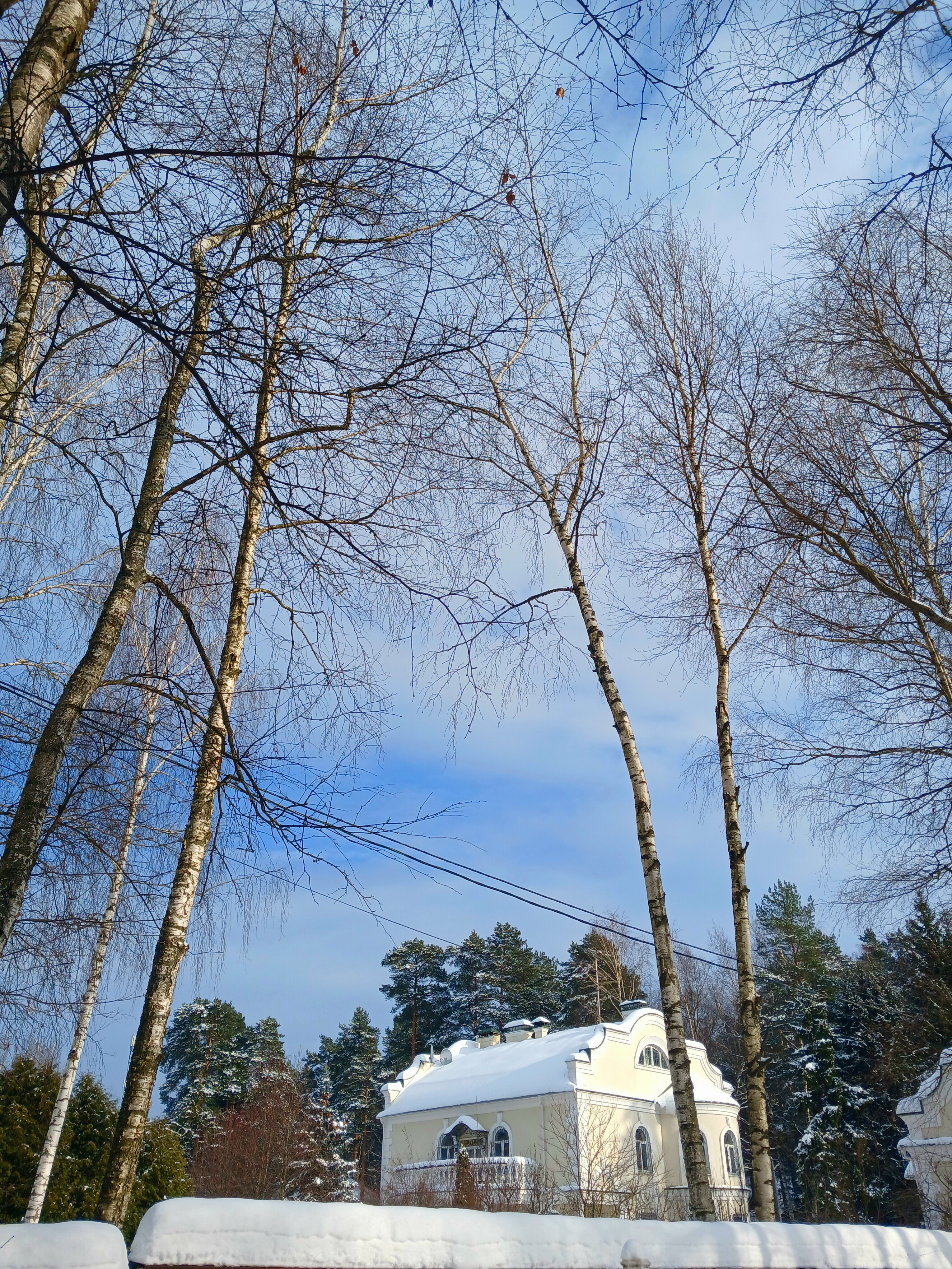 Фото Золотая осень