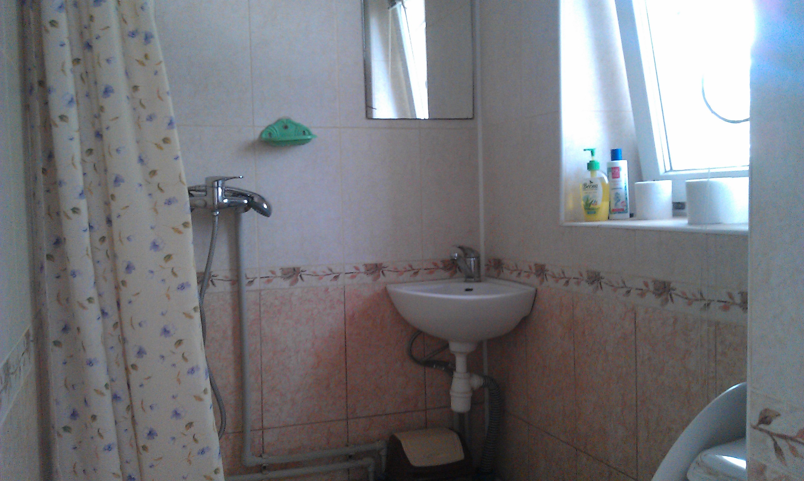 Фото Белая Чайка