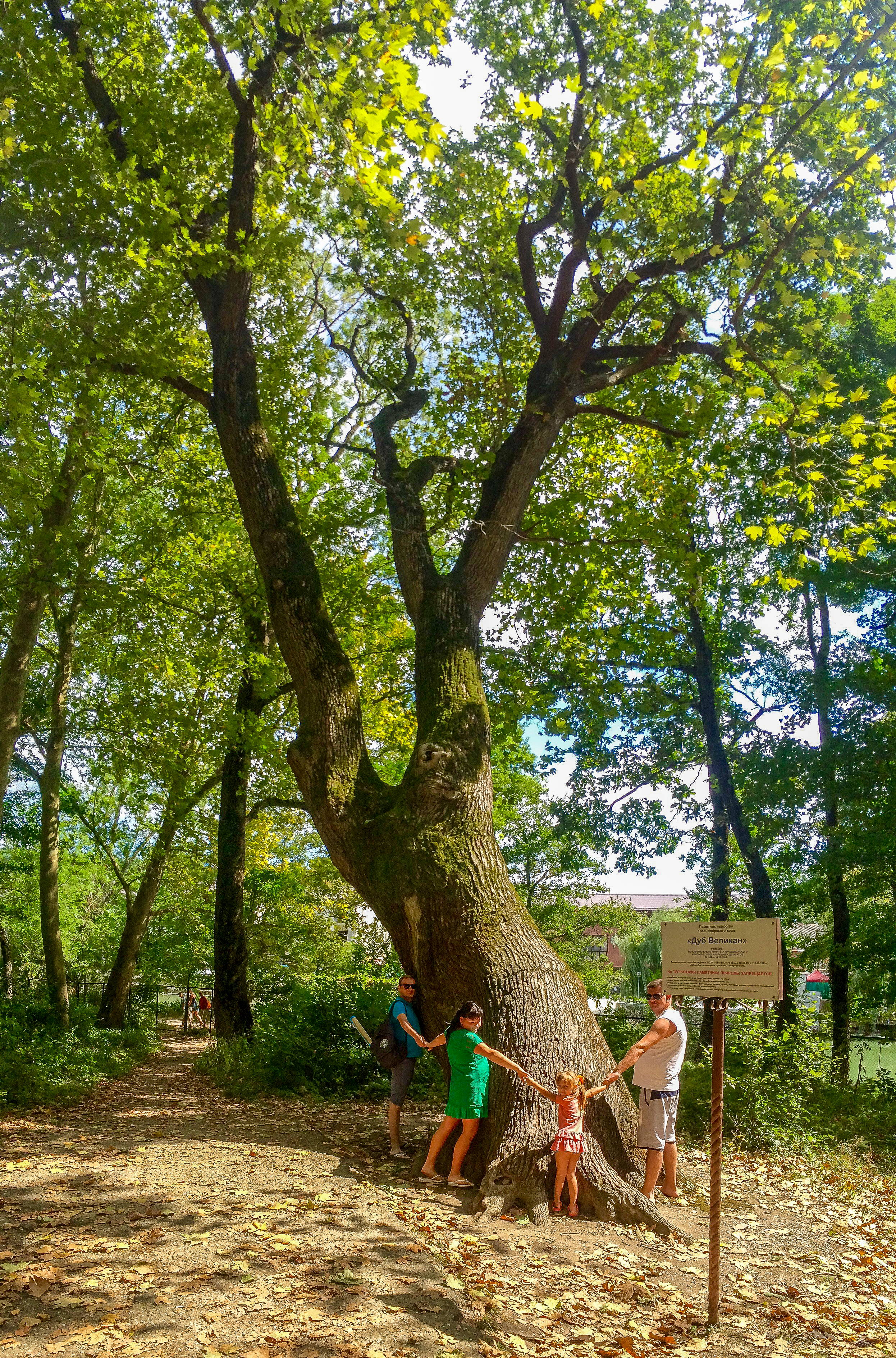 Фото Парк-отель Джубга