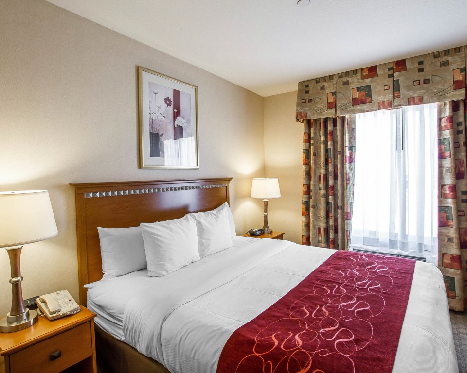 Фото Comfort Suites Glendale - State Farm Stadium Area