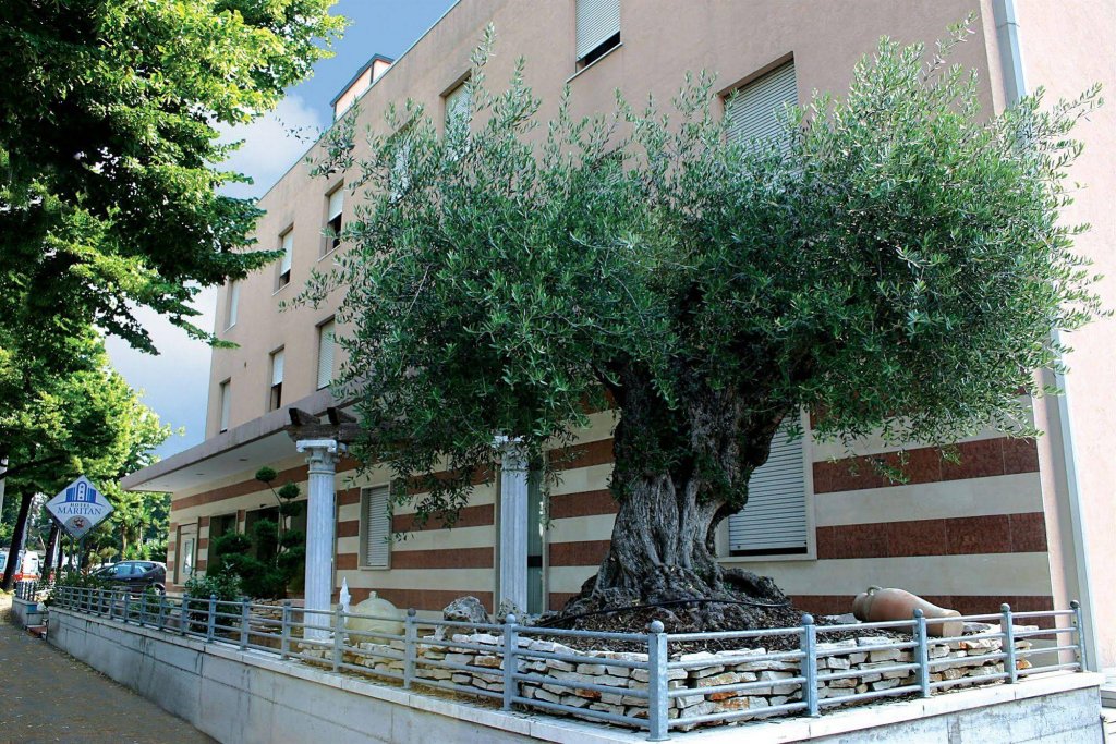 Фото Hotel Maritan