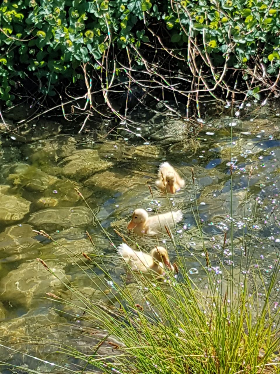 Фото Росстань